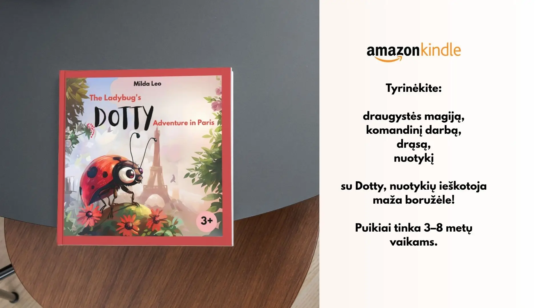 The ladybug Dotty book